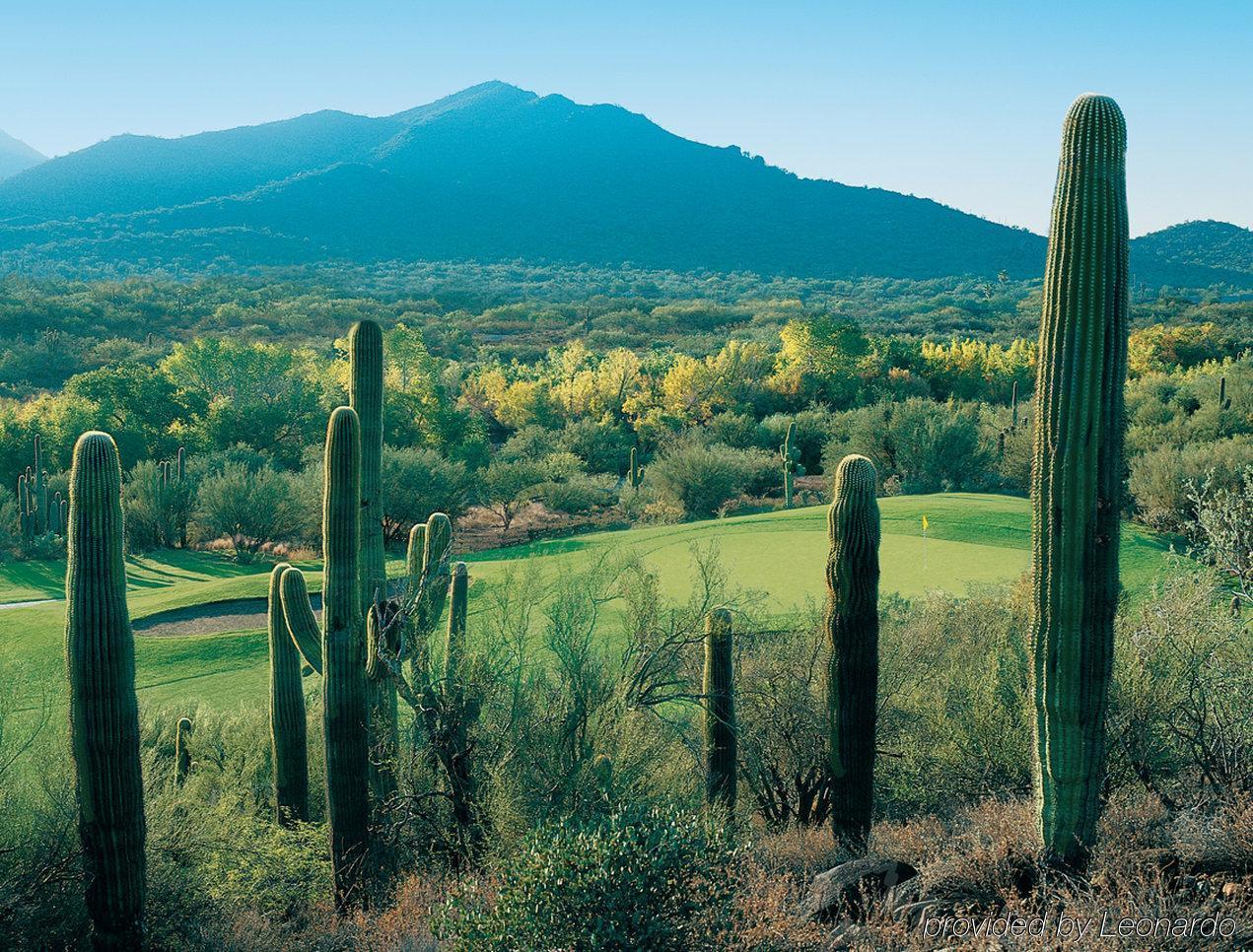 Hilton Vacation Club Rancho Manana Ξενοδοχείο Cave Creek Εξωτερικό φωτογραφία